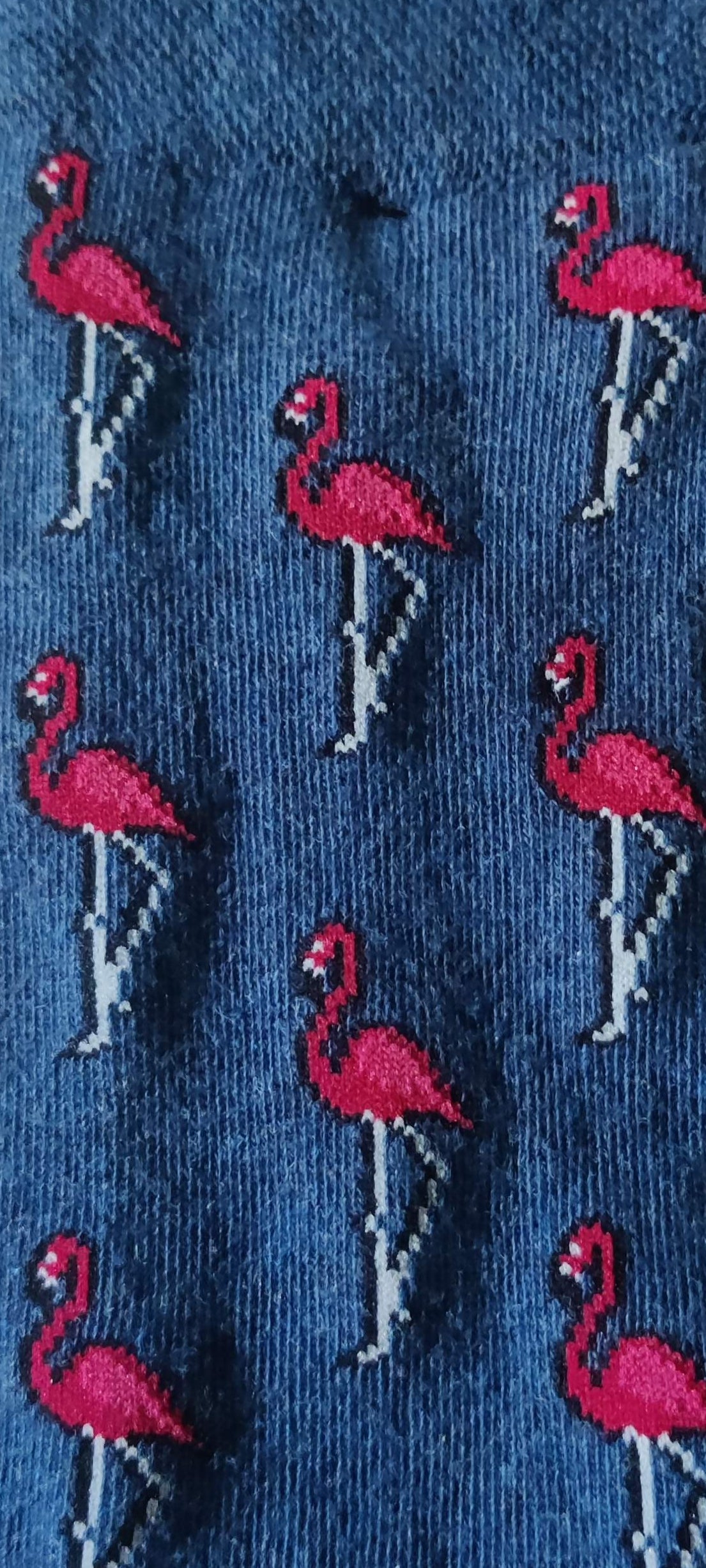 Calcetines de Flamencos
