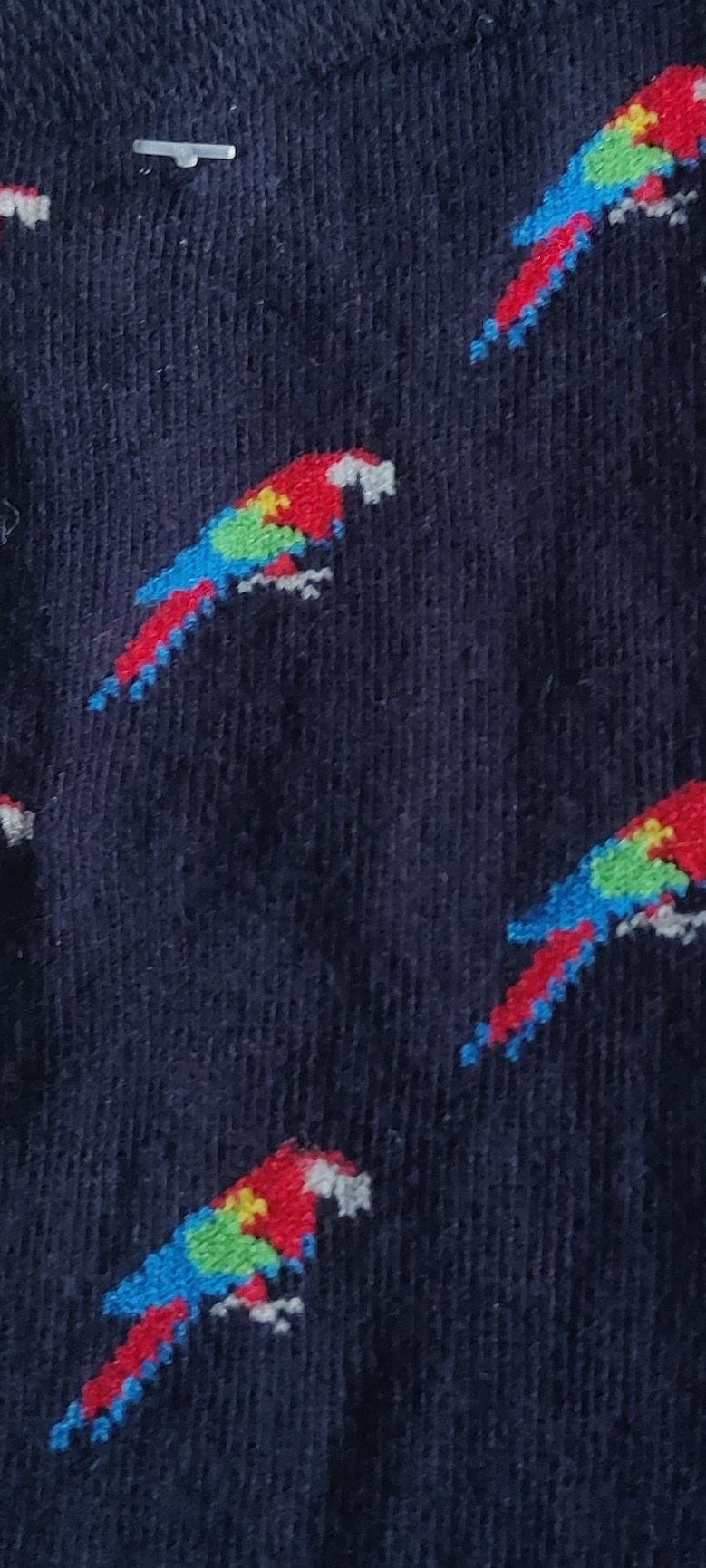 Calcetines de Loros "Vuelo Real"